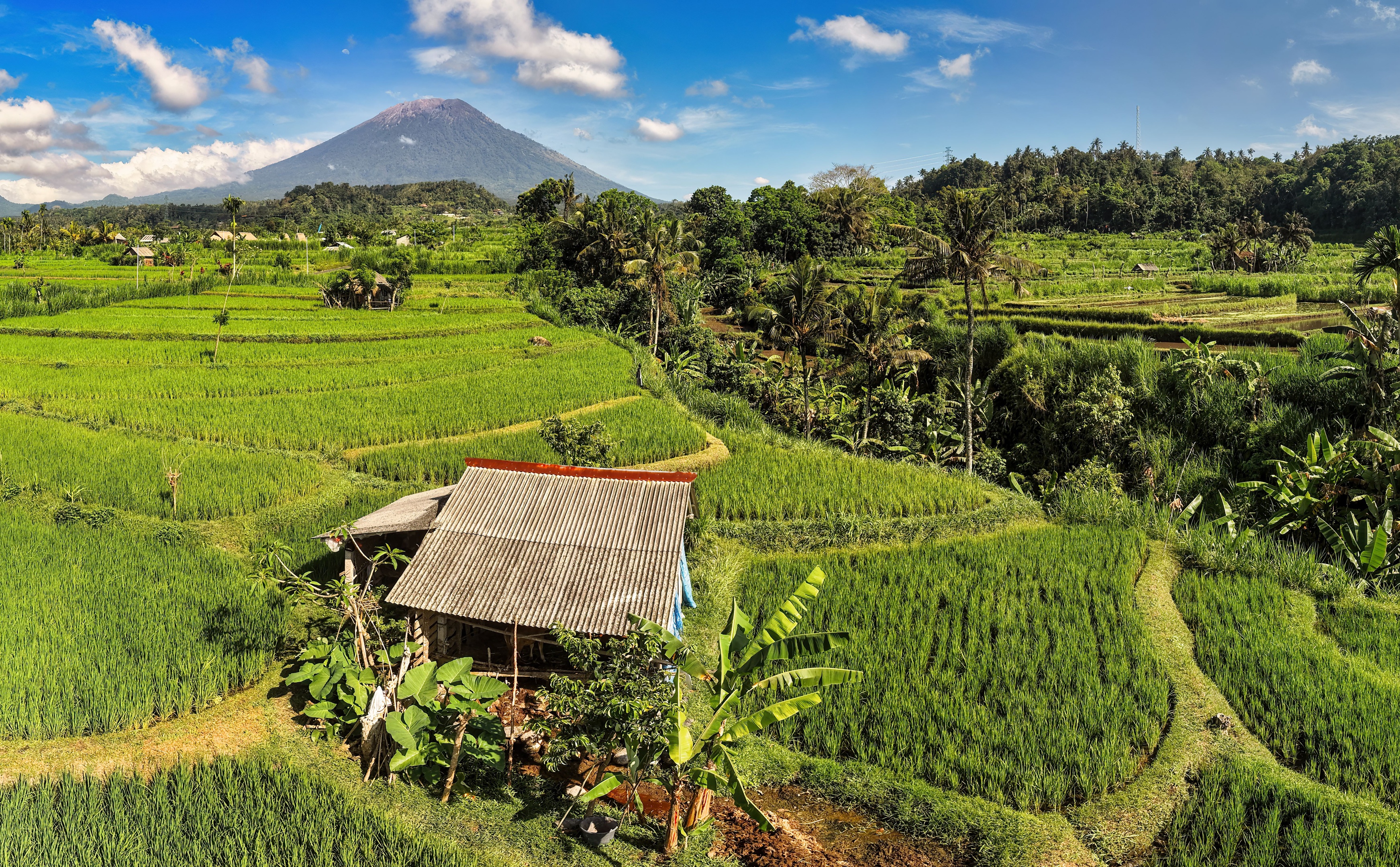 Mount Batur at Sunrise